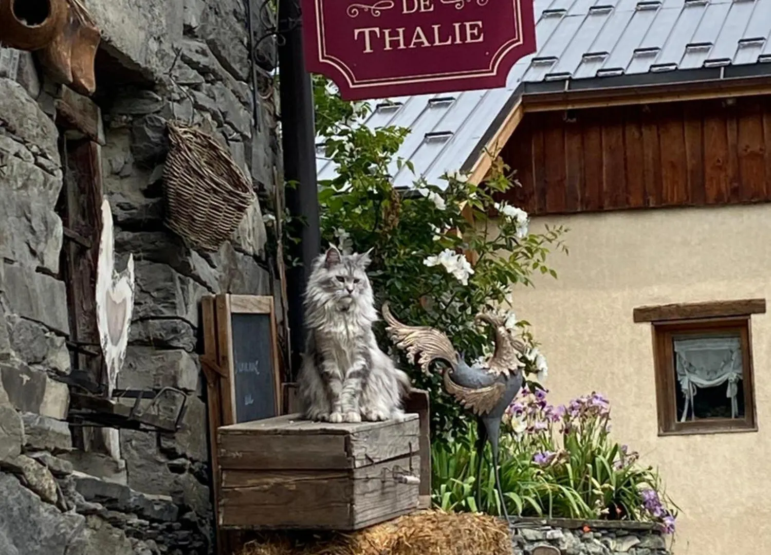 Bed & Breakfast Le Chalet De Thalie Bourg-Saint-Maurice France